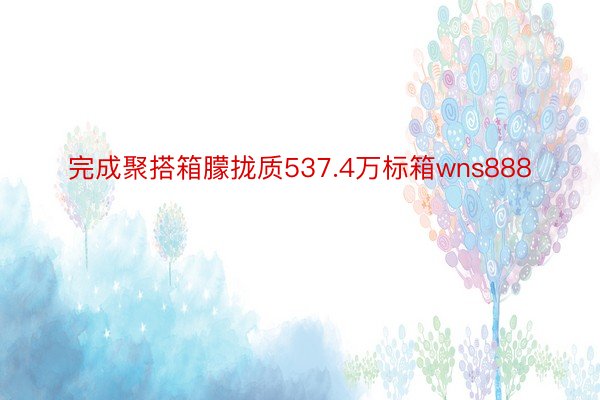 完成聚搭箱朦拢质537.4万标箱wns888