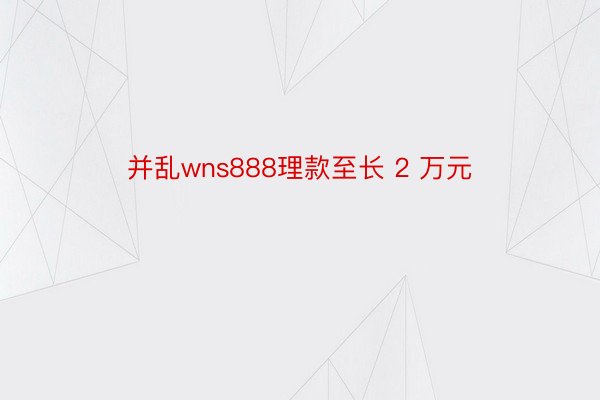 并乱wns888理款至长 2 万元