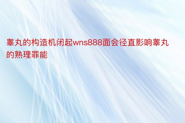 睾丸的构造机闭起wns888面会径直影响睾丸的熟理罪能